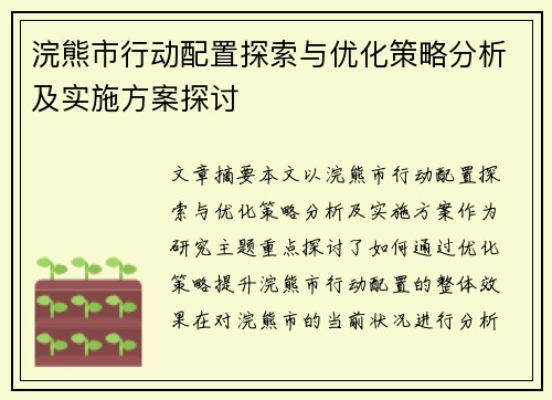 浣熊市行动配置探索与优化策略分析及实施方案探讨